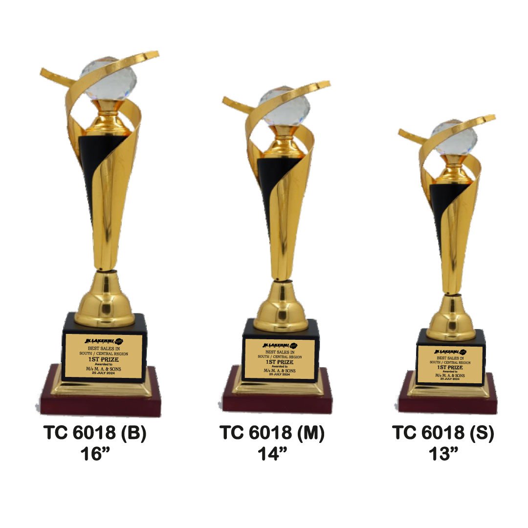 Award Manufacturer in Delhi