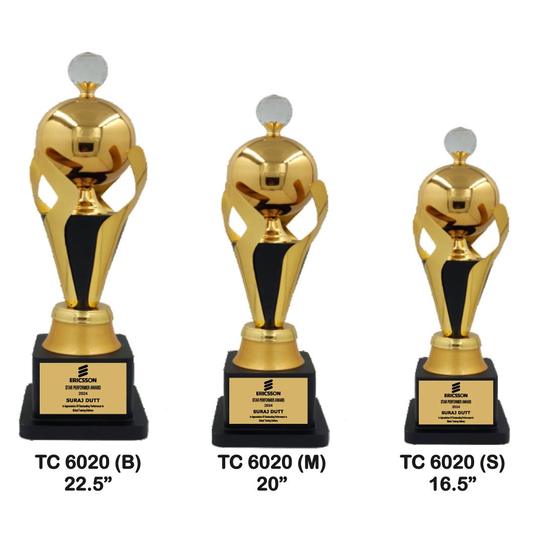 Award Manufacturer in Delhi
