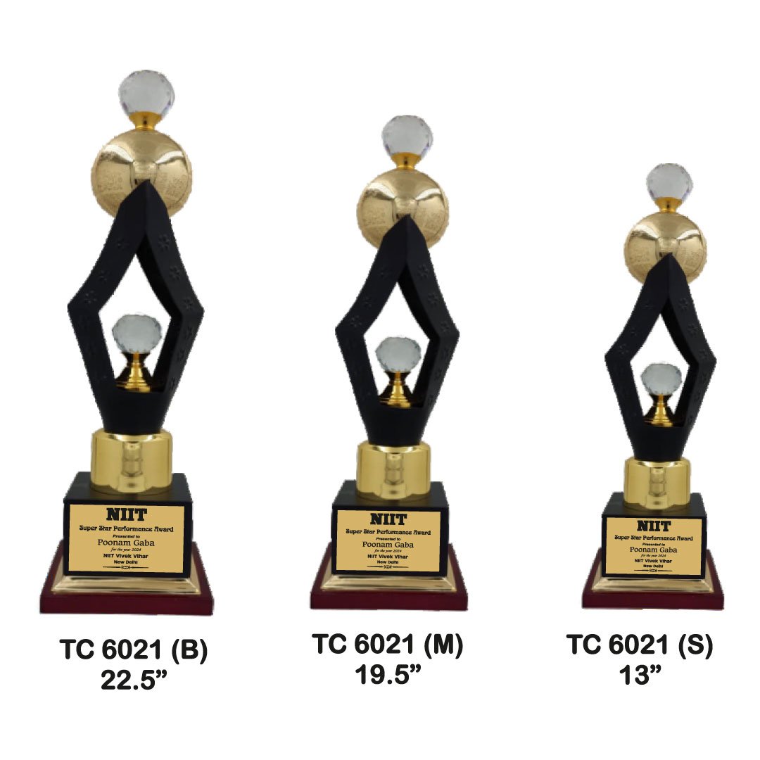 Award Manufacturer in Delhi