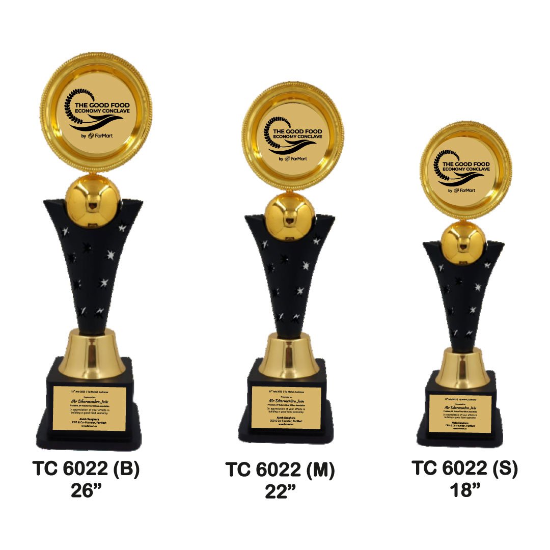 Award Manufacturer in Delhi