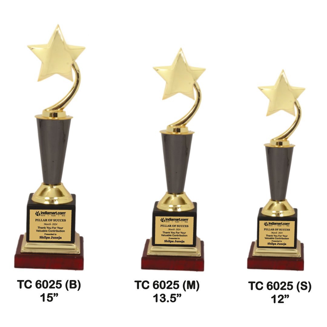 Award Manufacturer in Delhi
