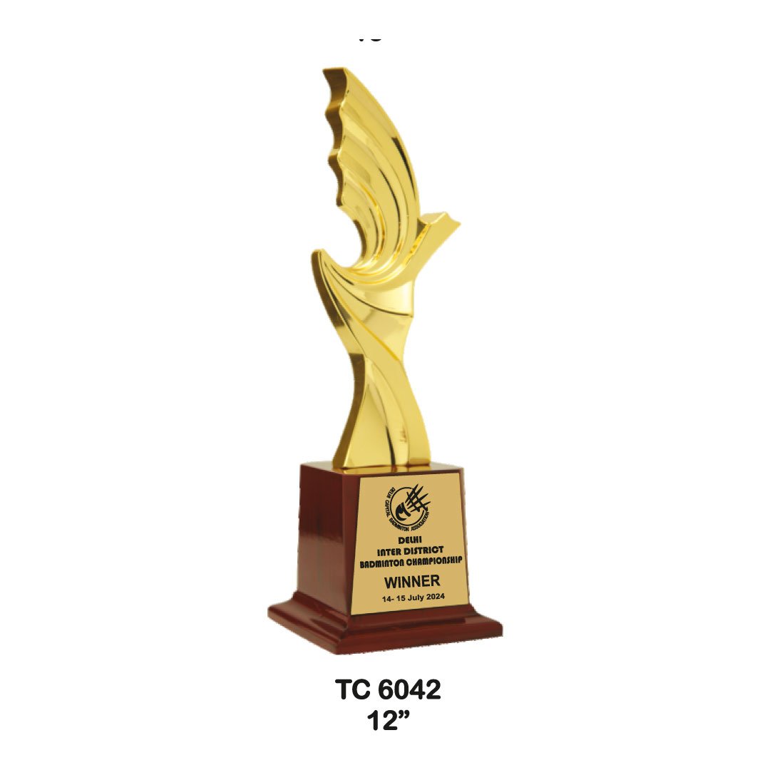 Award Manufacturer in Delhi