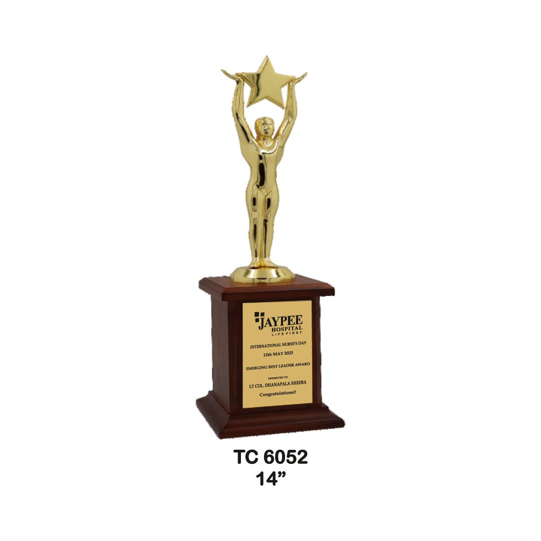 Award Manufacturer in Delhi