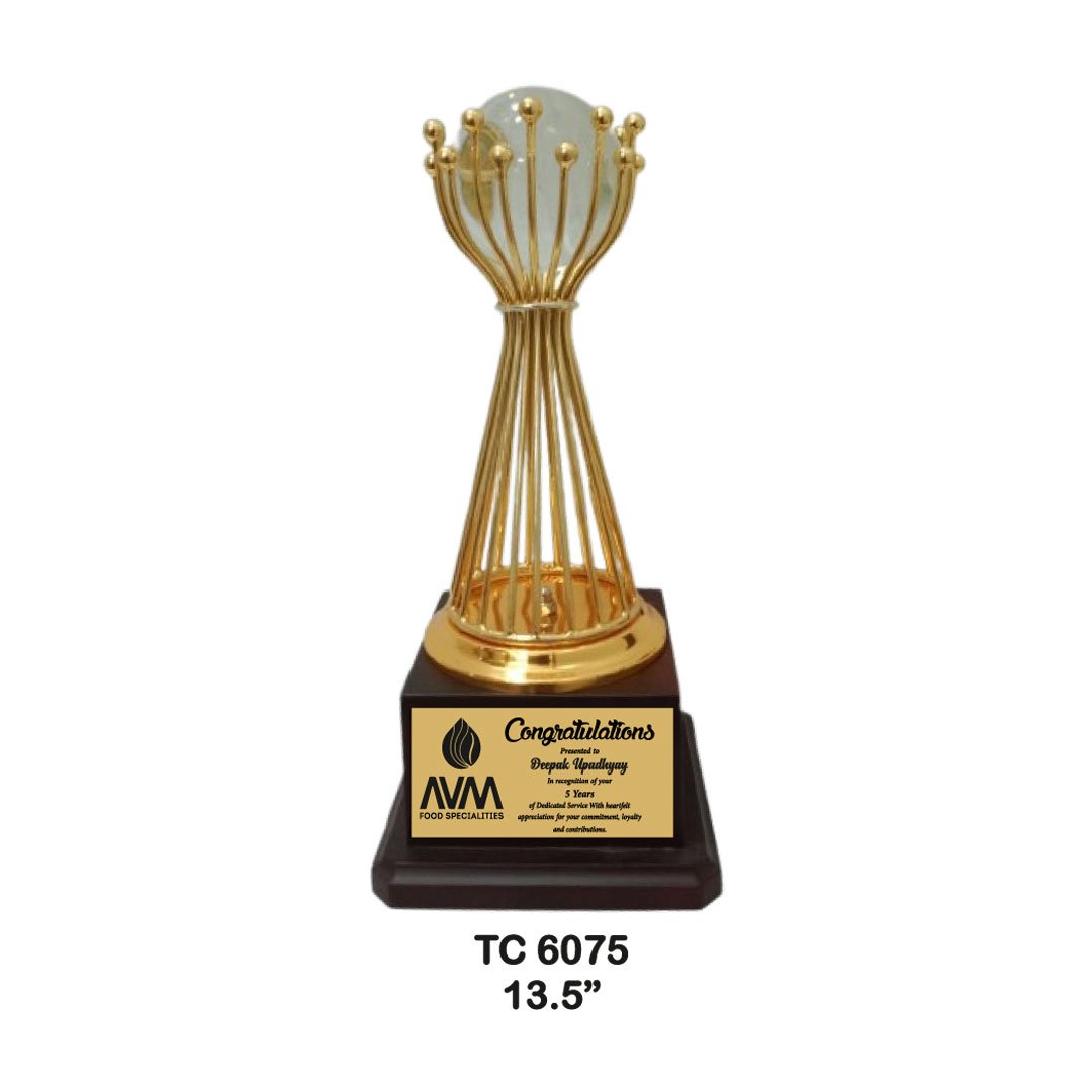 Award Manufacturer in Delhi