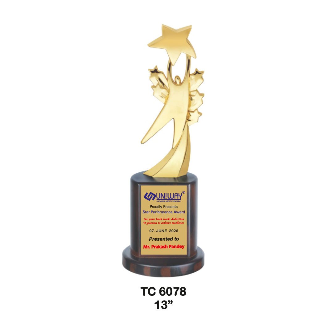 Award Manufacturer in Delhi