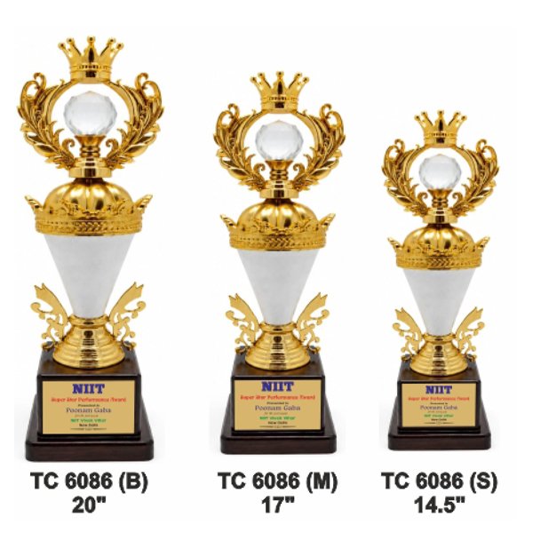 Award Manufacturer in Delhi