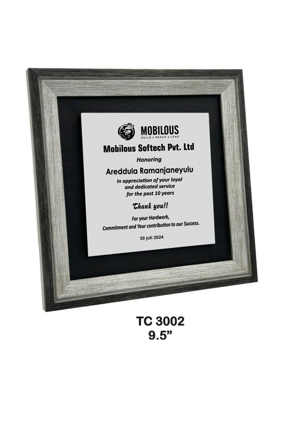 Award Manufacturer in Delhi