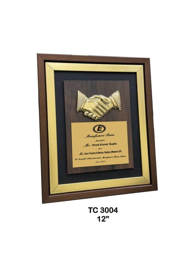 Award Manufacturer in Delhi