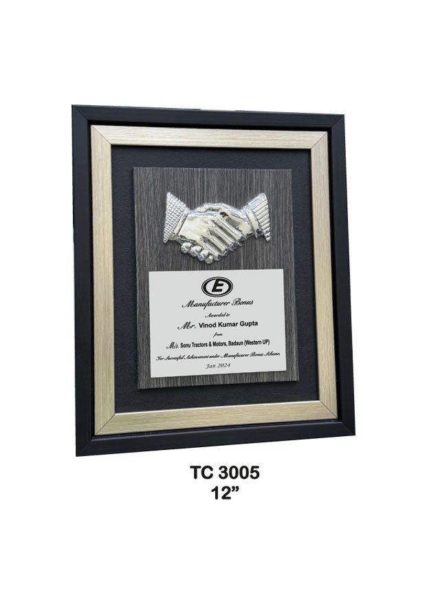Award Manufacturer in Delhi