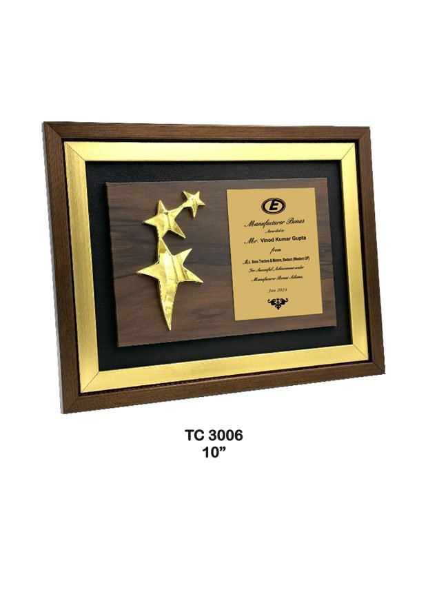 Award Manufacturer in Delhi