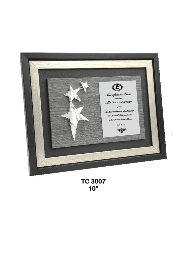 Award Manufacturer in Delhi