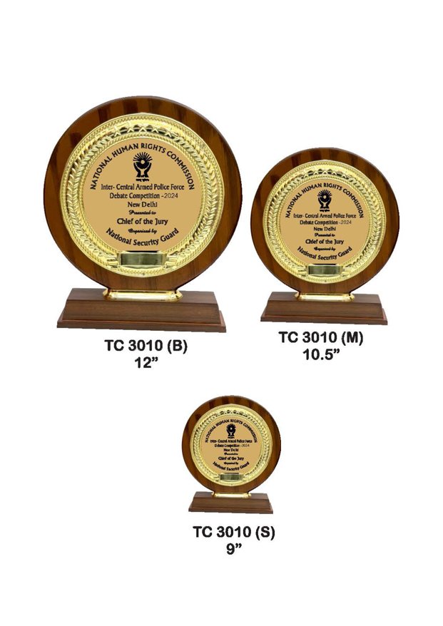 Plastic Frame Trophyin Delhi