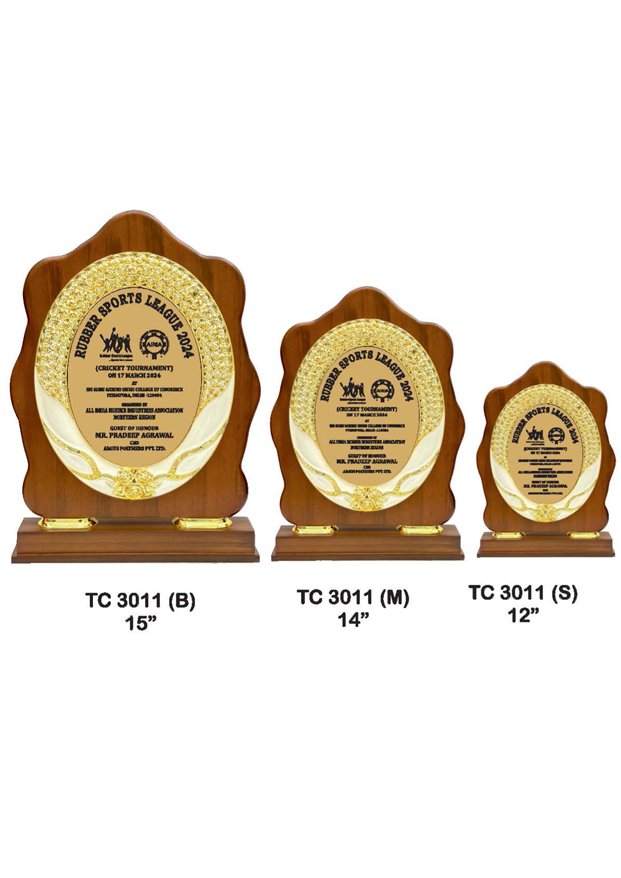 Plastic Frame Trophyin Delhi