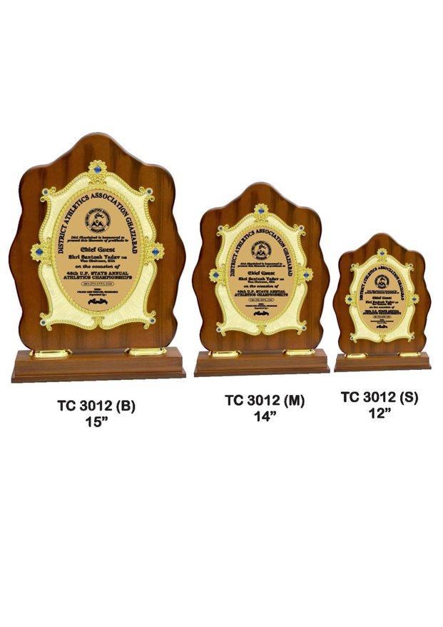 Plastic Frame Trophyin Delhi