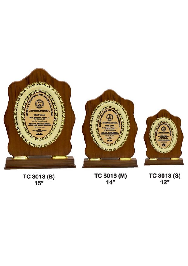 Plastic Frame Trophyin Delhi