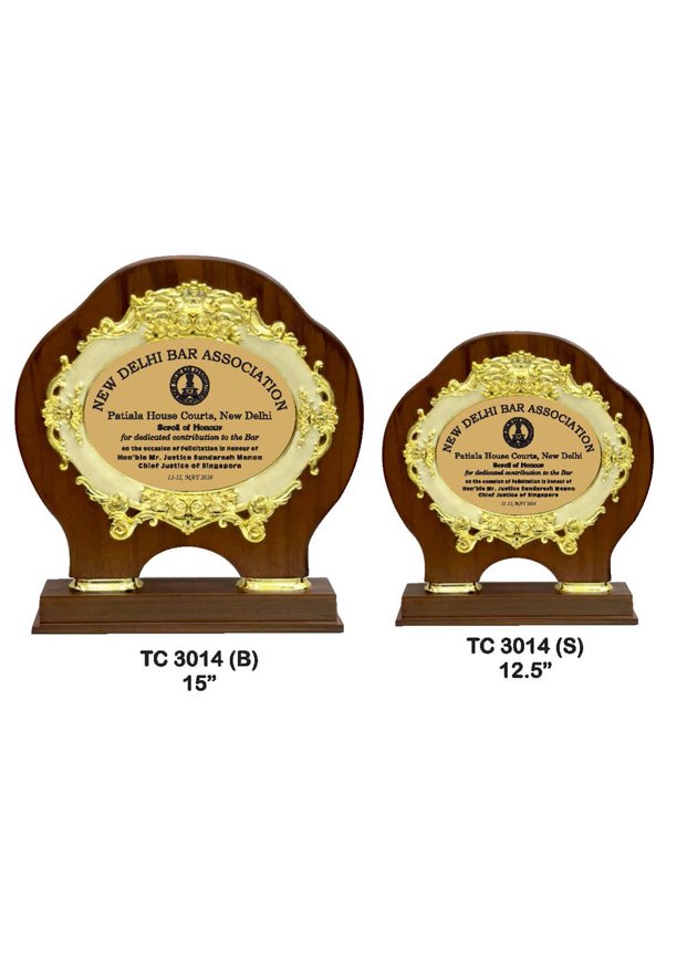 Plastic Frame Trophyin Delhi