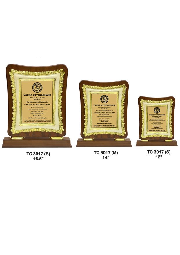 Award Manufacturer in Delhi