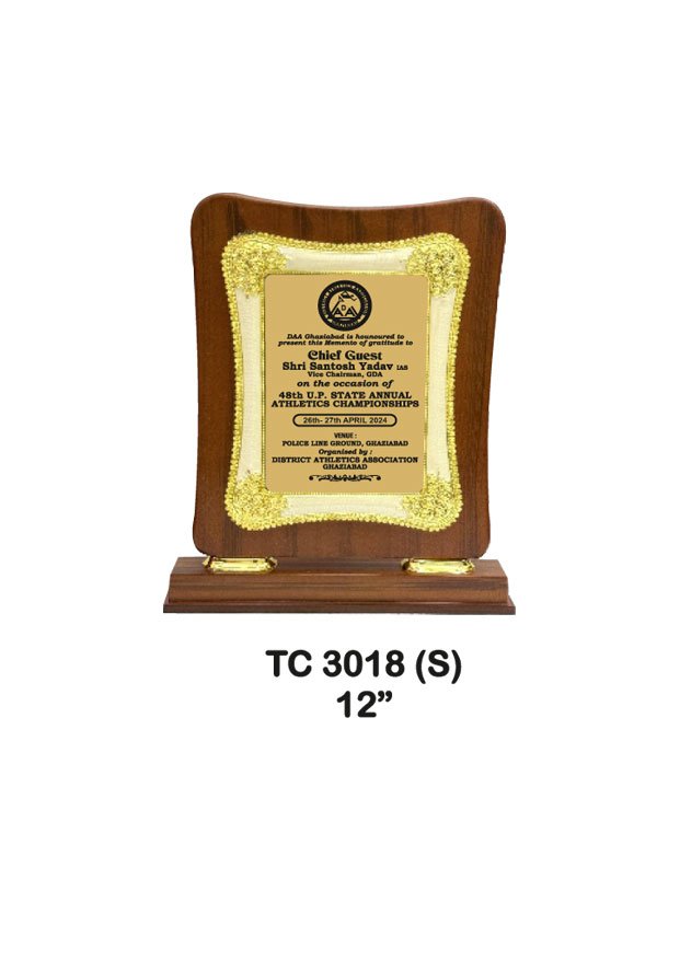 Award Manufacturer in Delhi