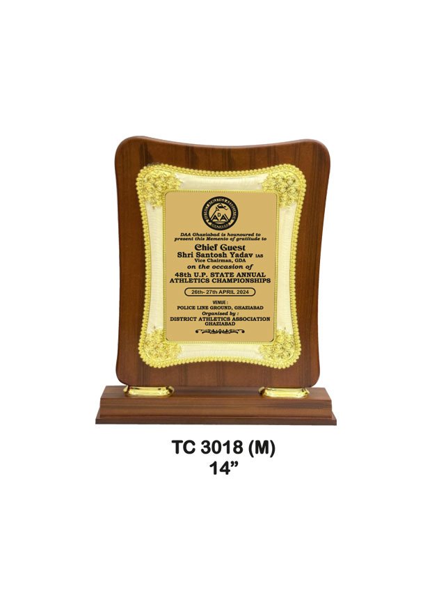 Award Manufacturer in Delhi
