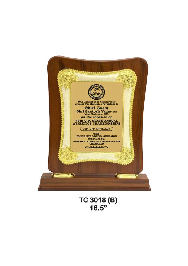 Award Manufacturer in Delhi