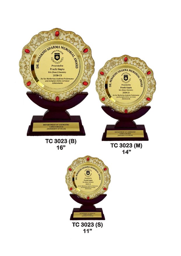 Plastic Frame Trophyin Delhi