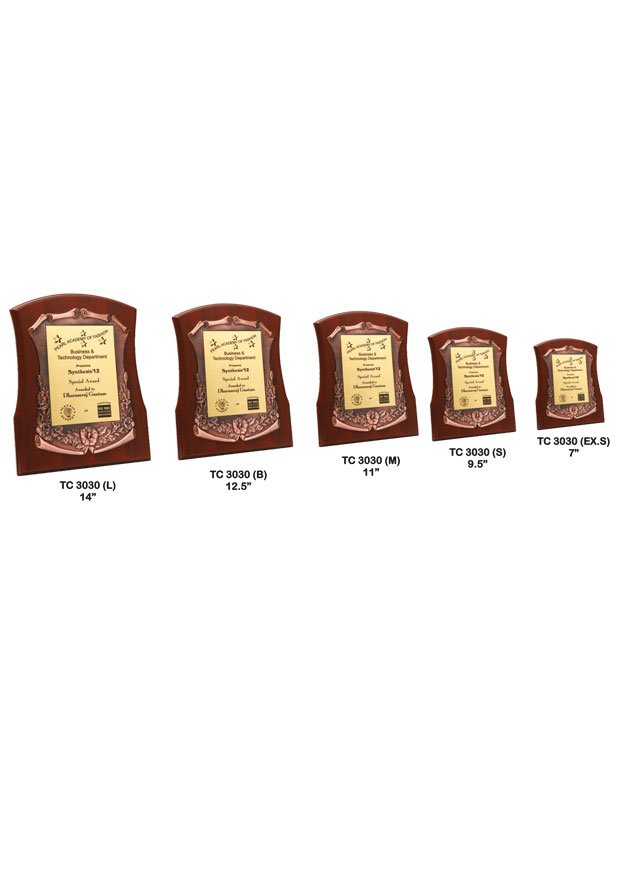 Award Manufacturer in Delhi