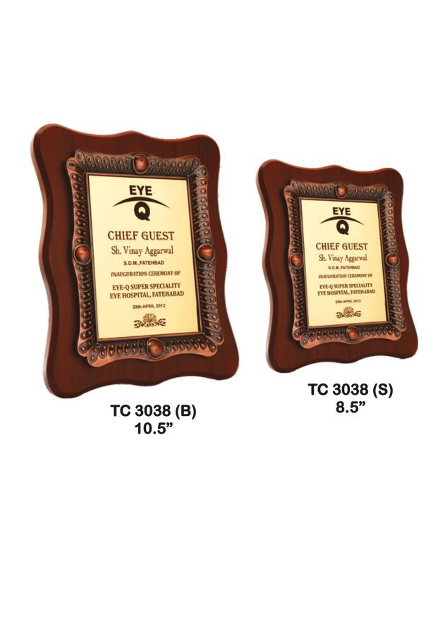 Award Manufacturer in Delhi