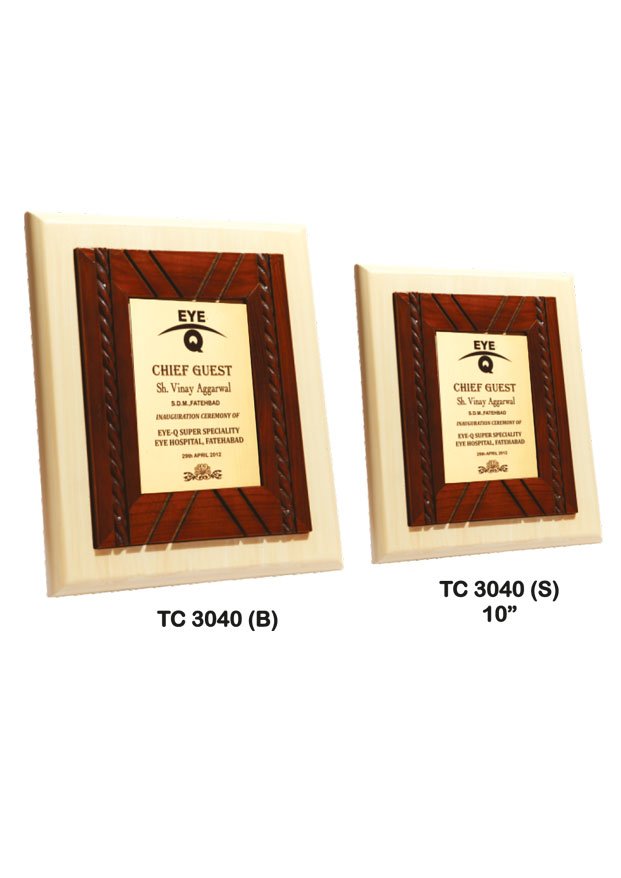Award Manufacturer in Delhi