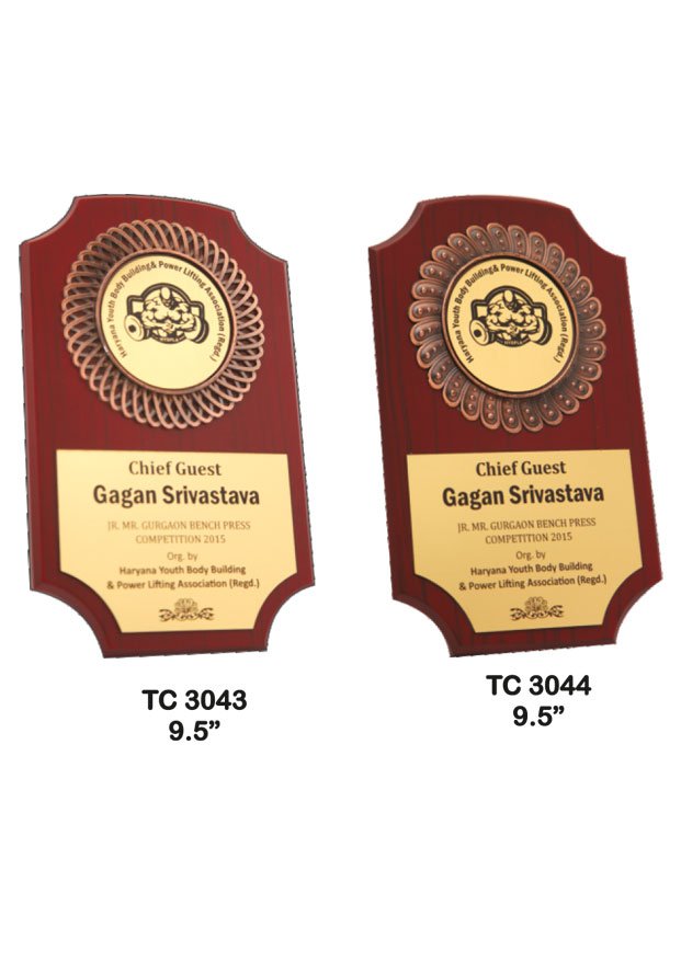 Award Manufacturer in Delhi
