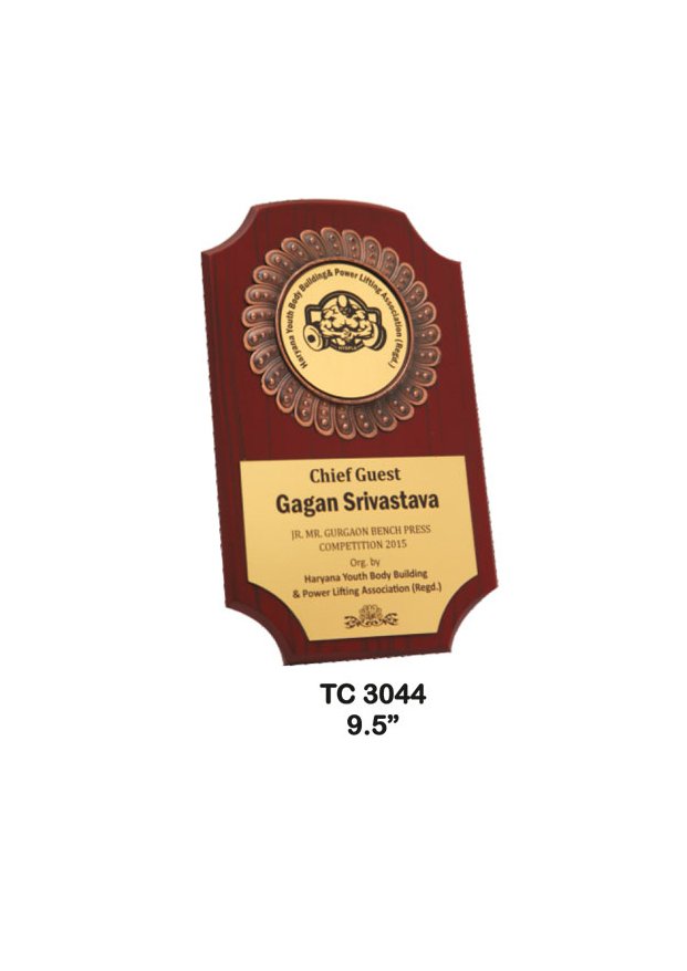 Award Manufacturer in Delhi