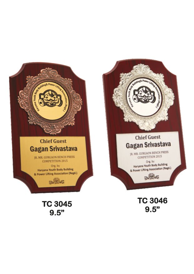 Award Manufacturer in Delhi