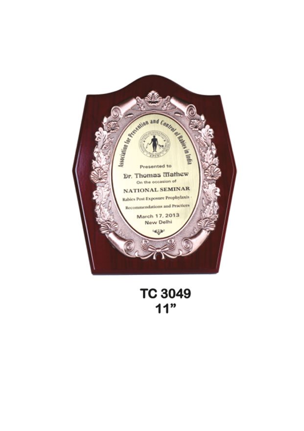Award Manufacturer in Delhi