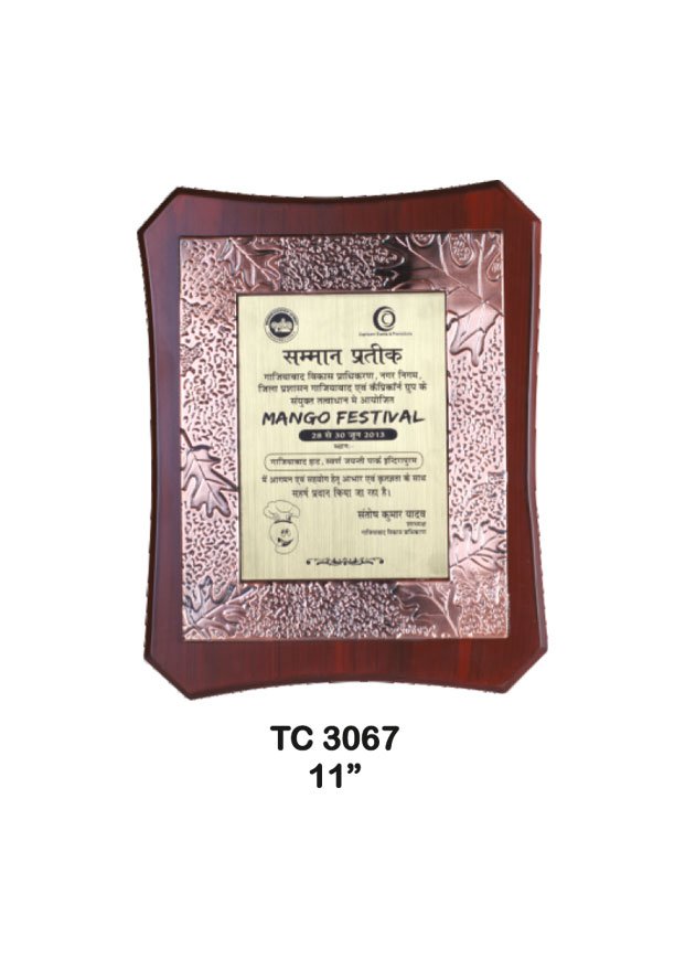 Award Manufacturer in Delhi