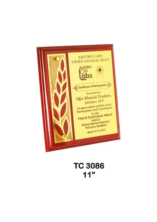 Award Manufacturer in Delhi