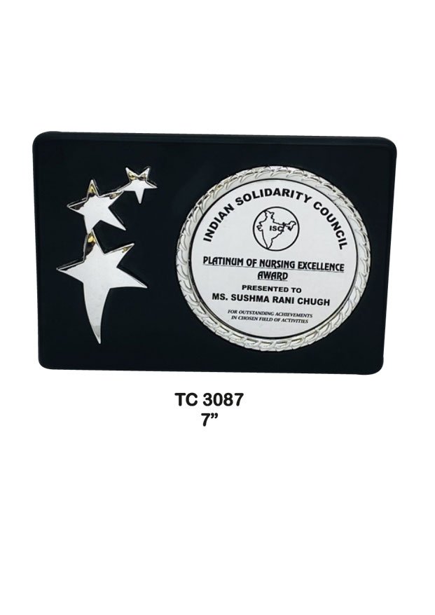 Award Manufacturer in Delhi