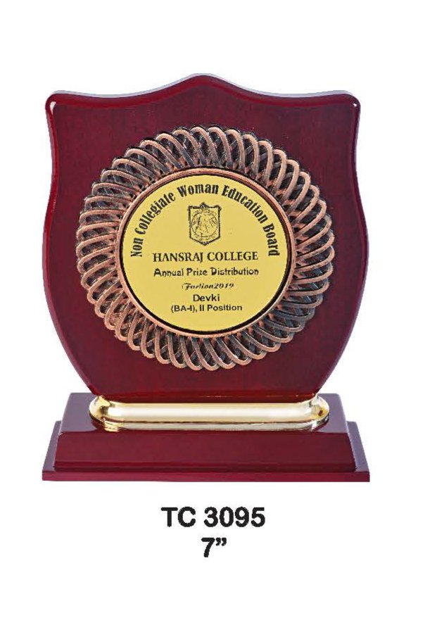 Plastic Frame Trophyin Delhi