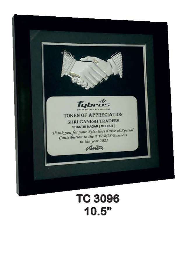Plastic Frame Trophyin Delhi