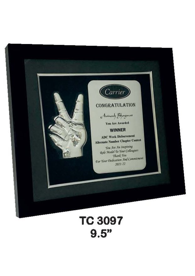 Plastic Frame Trophyin Delhi