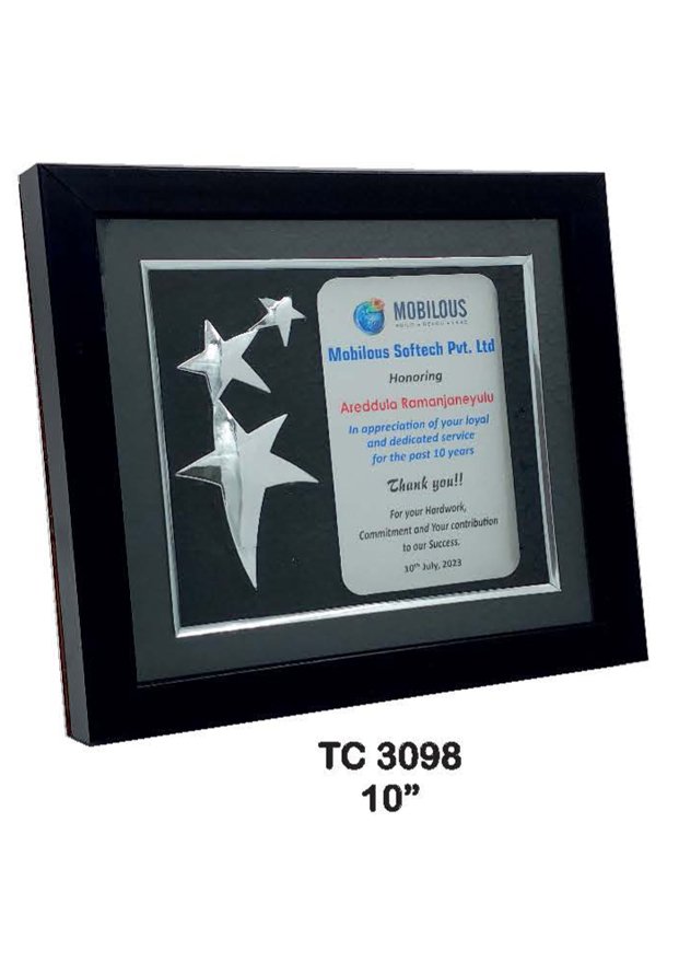 Plastic Frame Trophyin Delhi