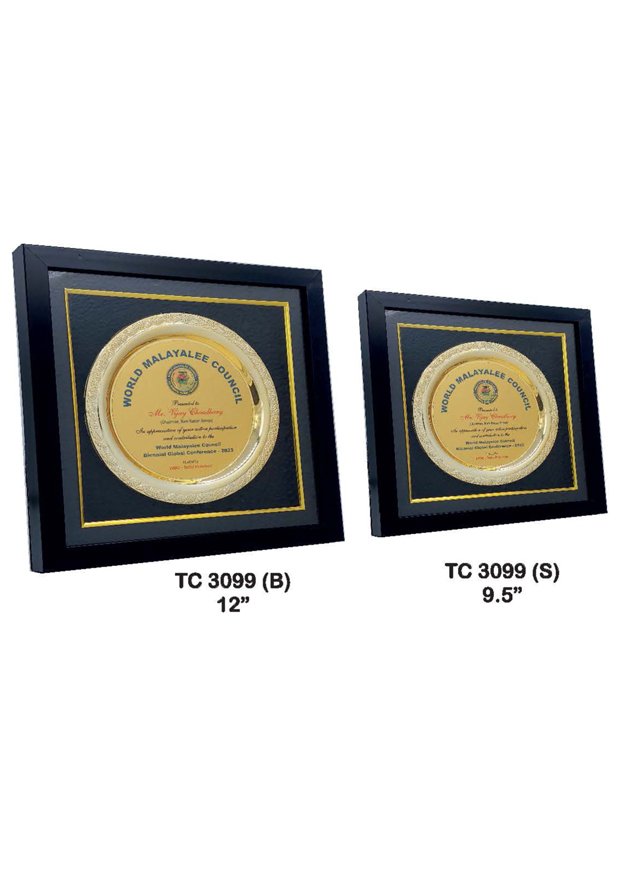 Plastic Frame Trophyin Delhi