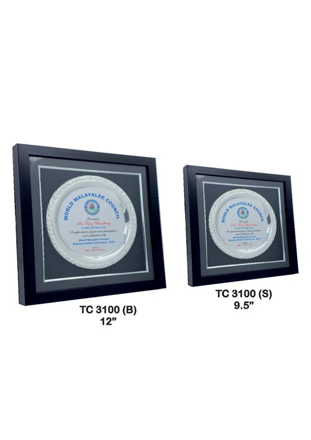 Plastic Frame Trophyin Delhi