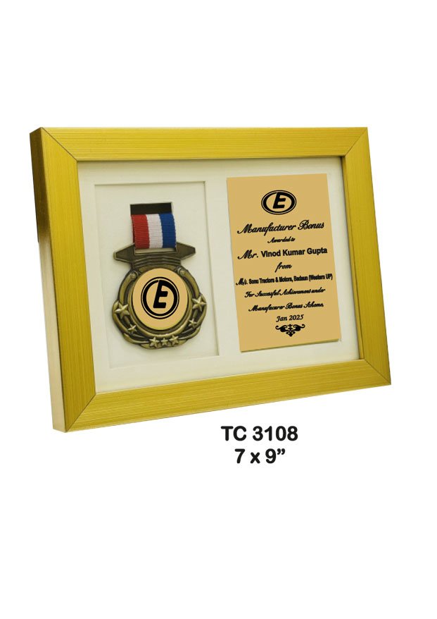 Award Manufacturer in Delhi