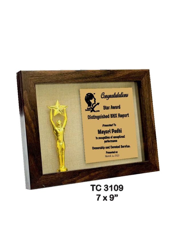 Award Manufacturer in Delhi