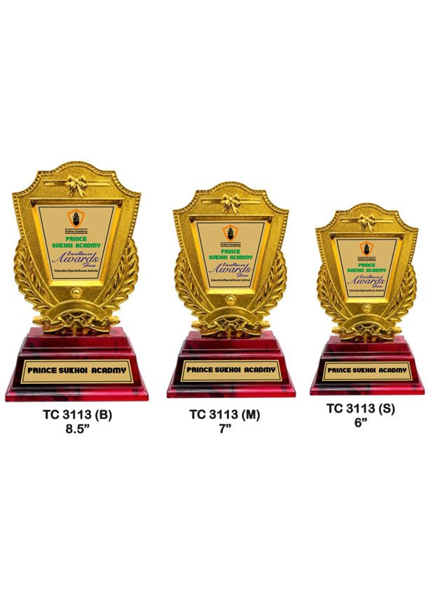 Award Manufacturer in Delhi
