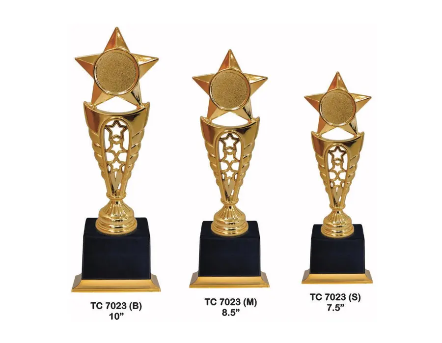 Trophies-for-school-functions