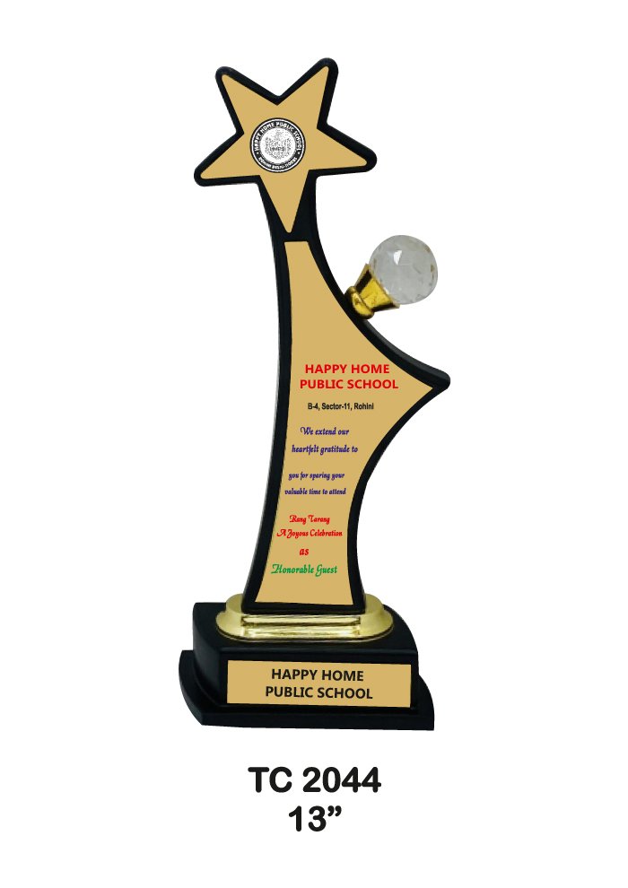 Wooden Trophy Trophy in Delhi
