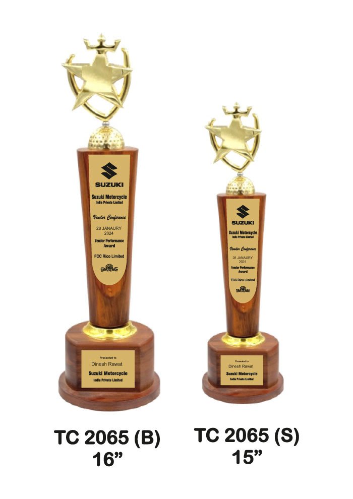 Wooden Trophy Trophy in Delhi