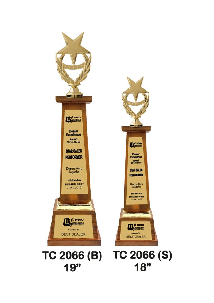 Wooden Trophy Trophy in Delhi