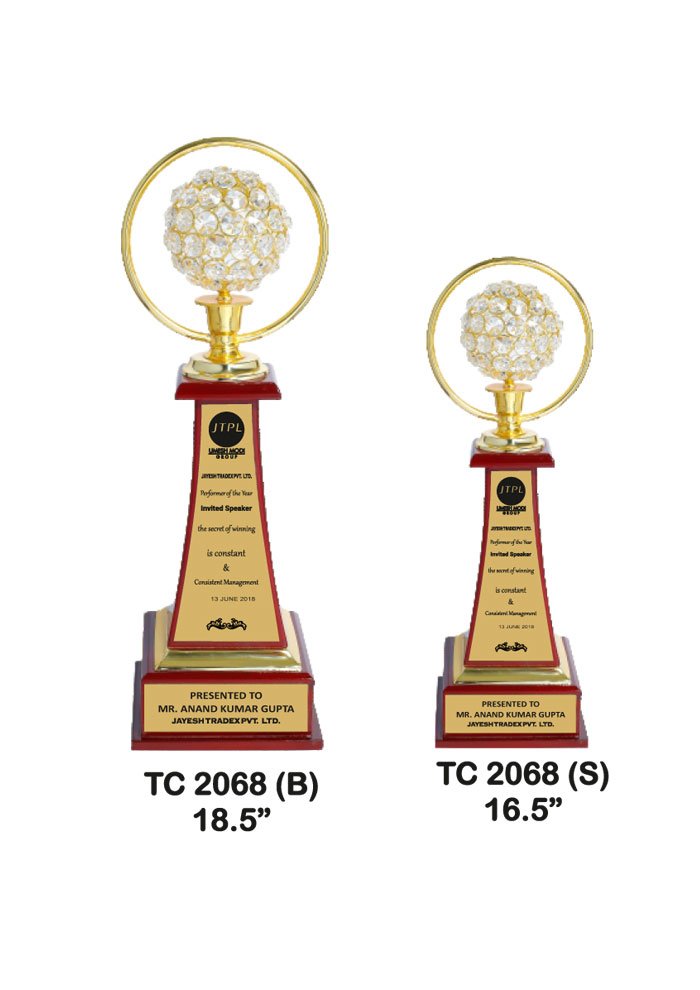 Wooden Trophy Trophy in Delhi