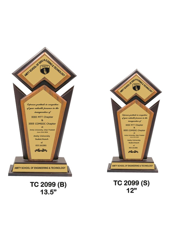 Wooden Trophy Trophy in Delhi